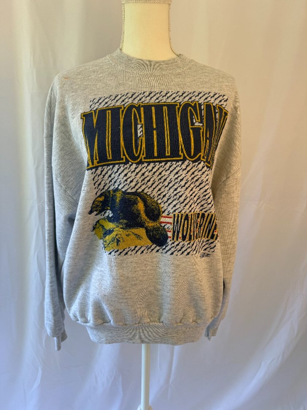 Michigan Sweatshirt